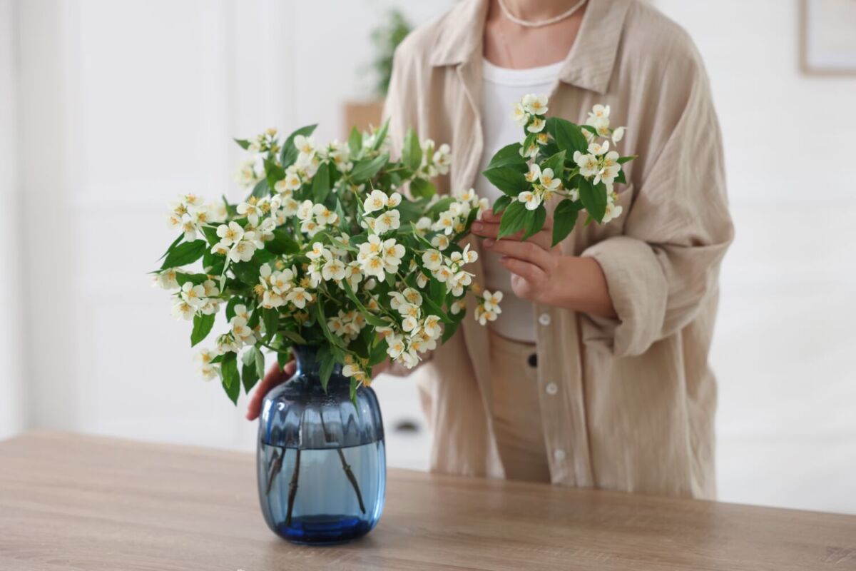 mujer poniendo en un florero plantas de jazmín