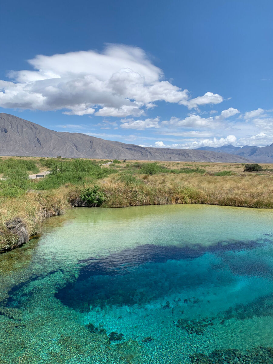 La poza azul en cuatro ciénegas coahuila