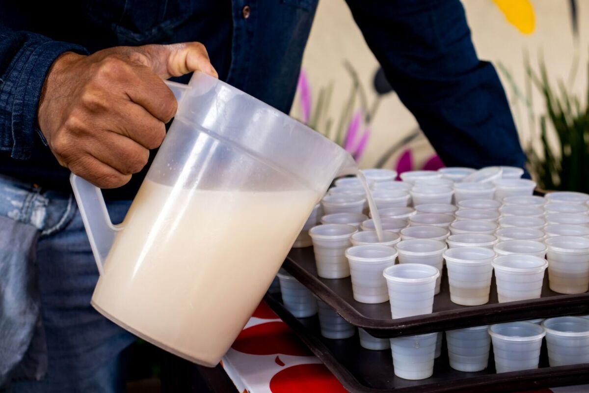 persona sirviendo pulque en unos vasos de degustación 