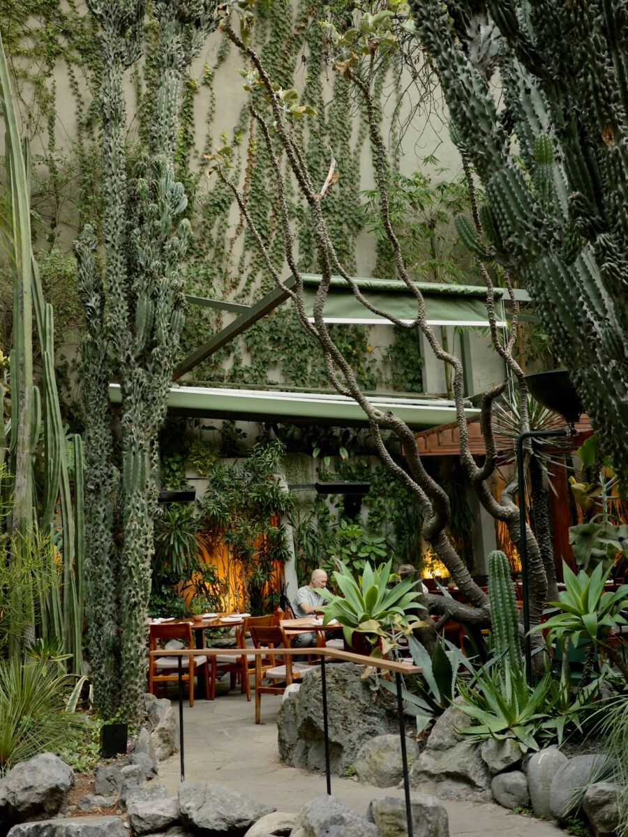 restaurante con jardín en la Condesa