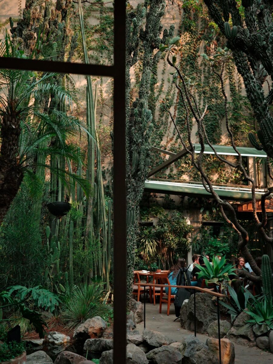 restaurante lleno de vegetación