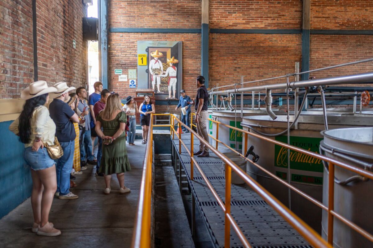 personas visitando una destilería de agave