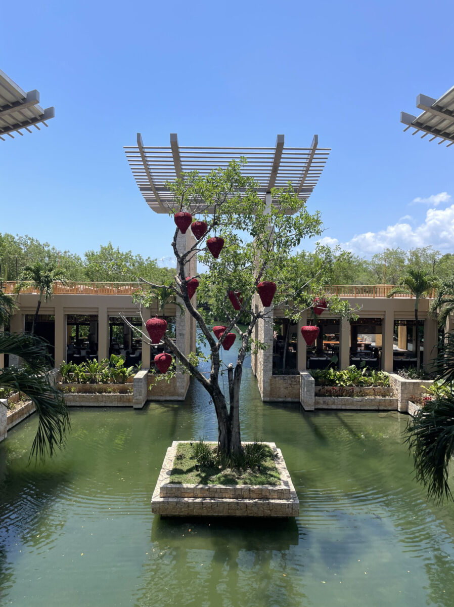 El majestuoso árbol Banyan al centro del hotel Banyan Tree Mayakoba