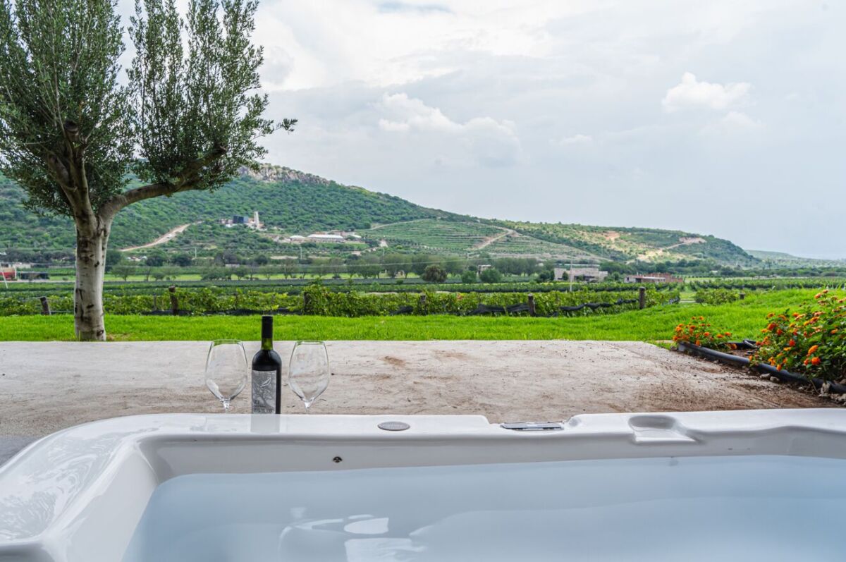 un jacuzzi con una botella de vino con vista hacia un viñedo 