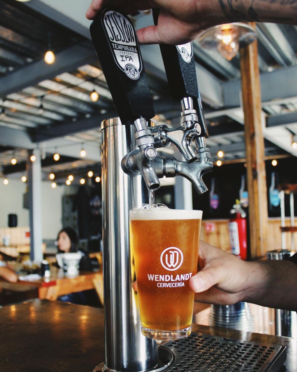 Dispensador de cerveza Wendlandt