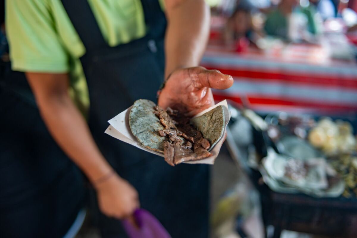 persona sosteniendo un taco de cecina 