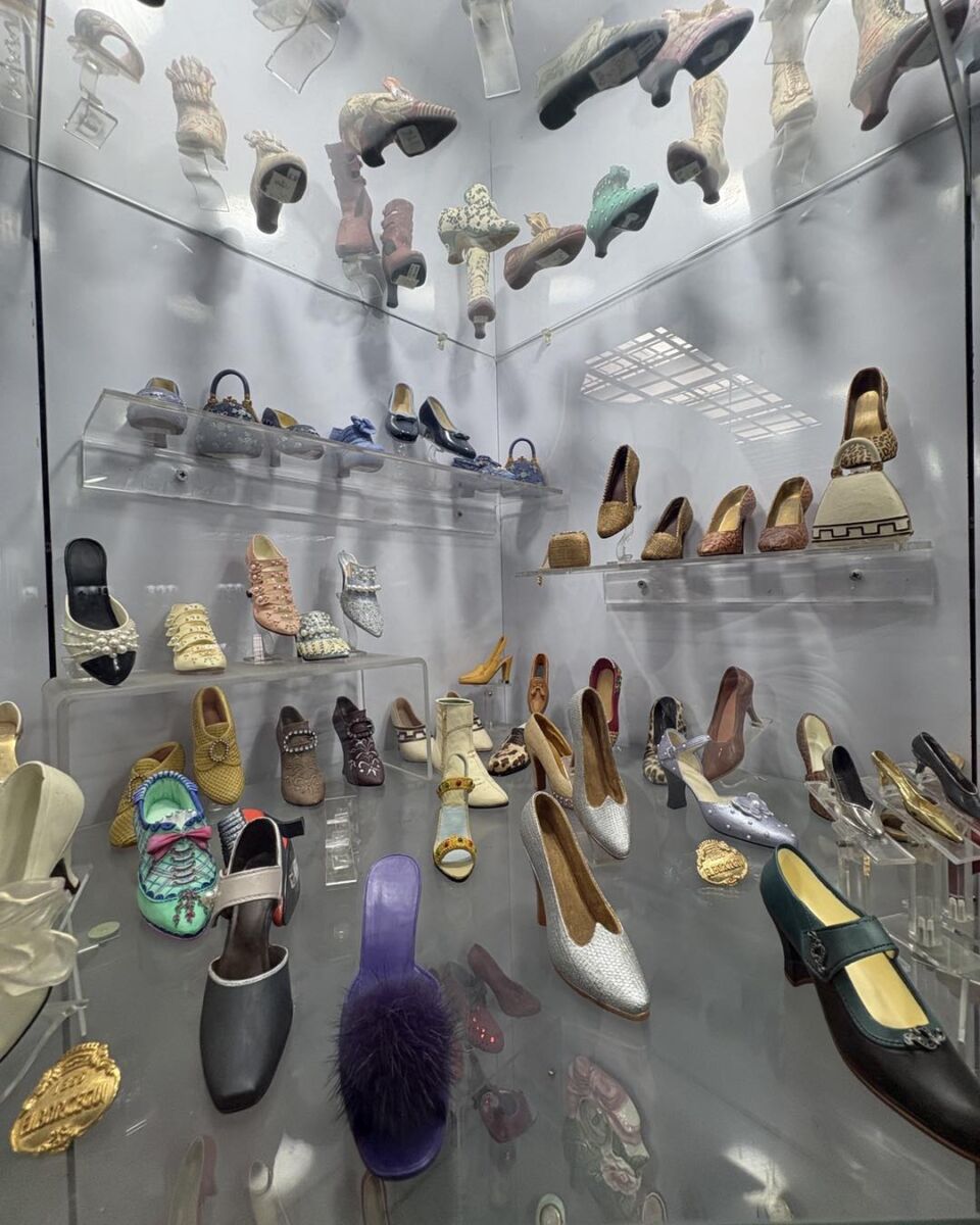 zapatos en repisas dentro de una vitrina de cristal 