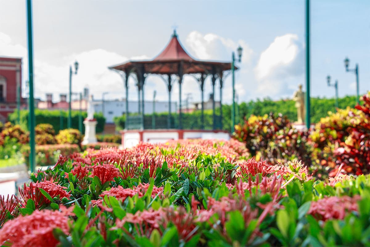 flores y un kiosco de hierro