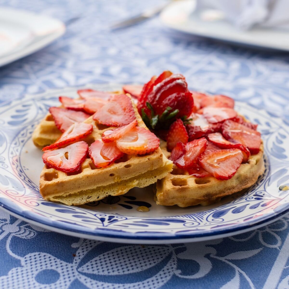 Waffle con fresas en la Antigua Hacienda de Tlalpan