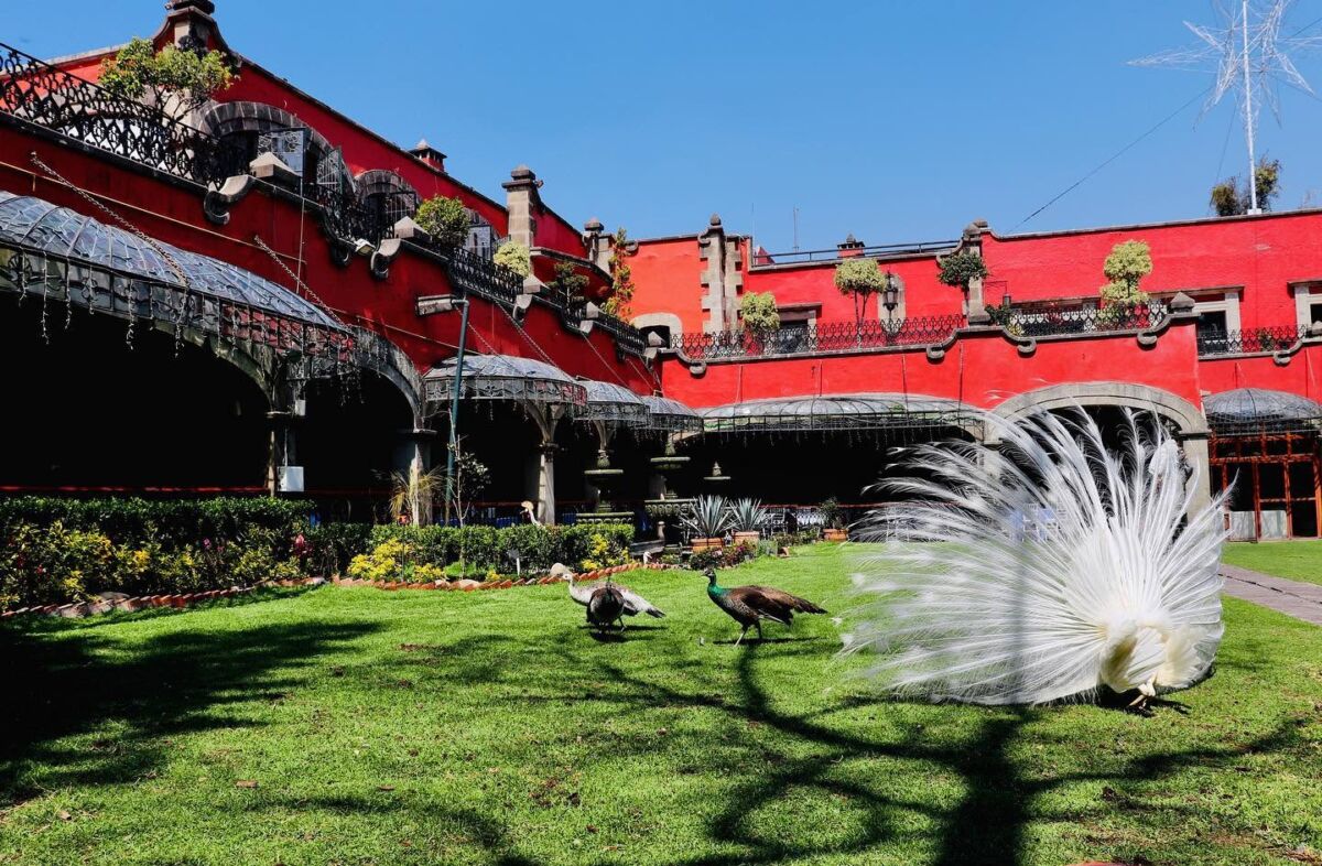 Convirtieron la casa de un expresidente de México en una hermosa hacienda para comer en la CDMX