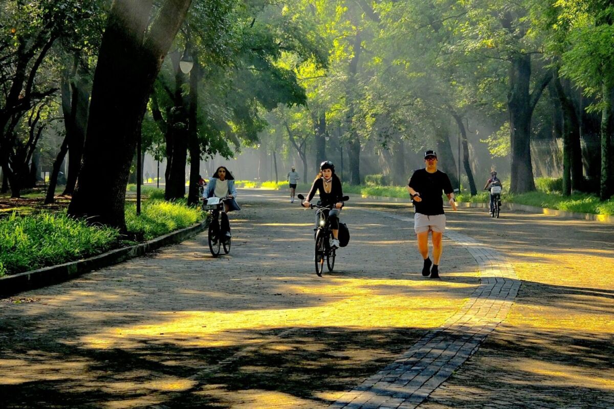personas paseando en bicicleta por el Bosque de Chapultepec