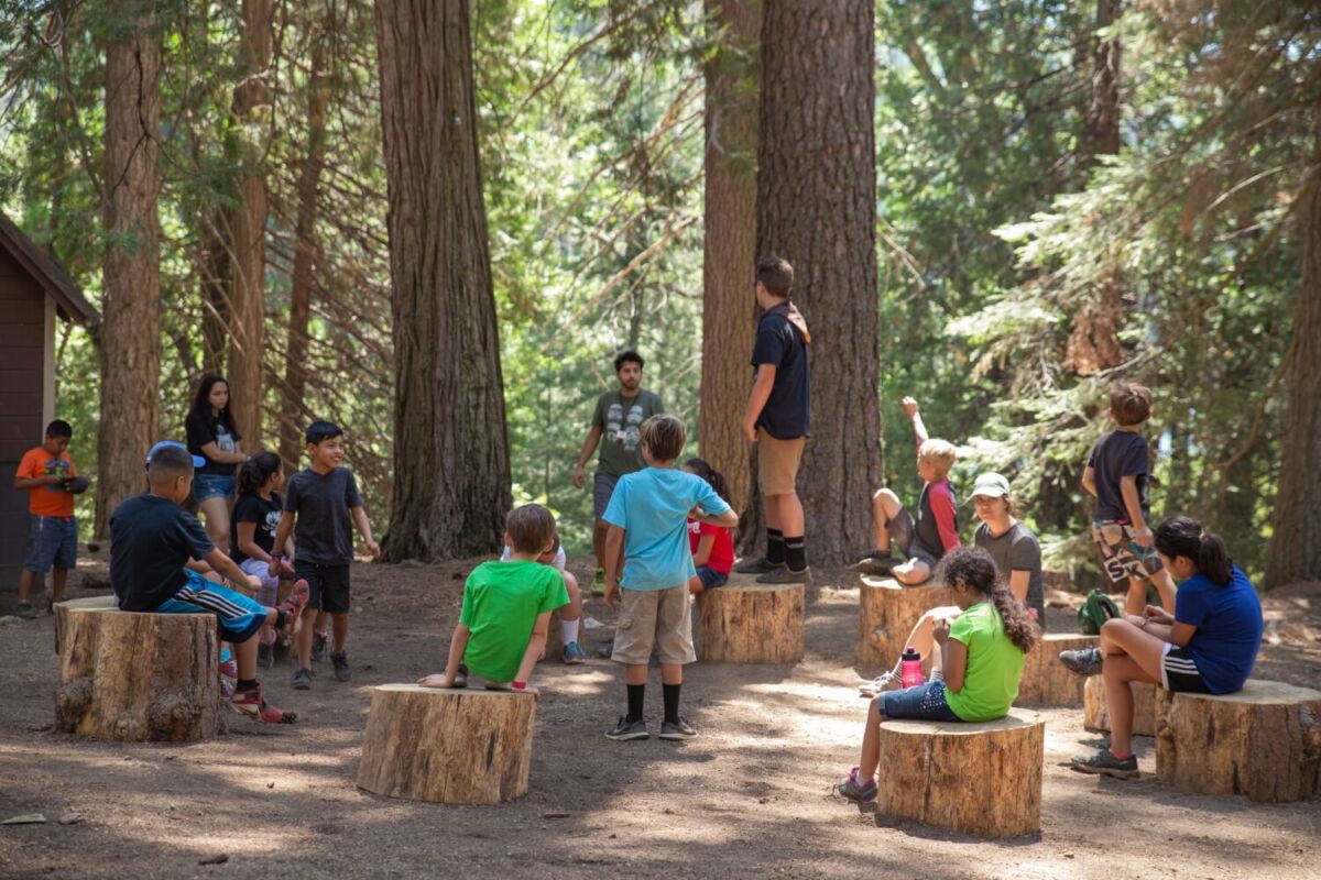 niños en un curso de verano en el bosque