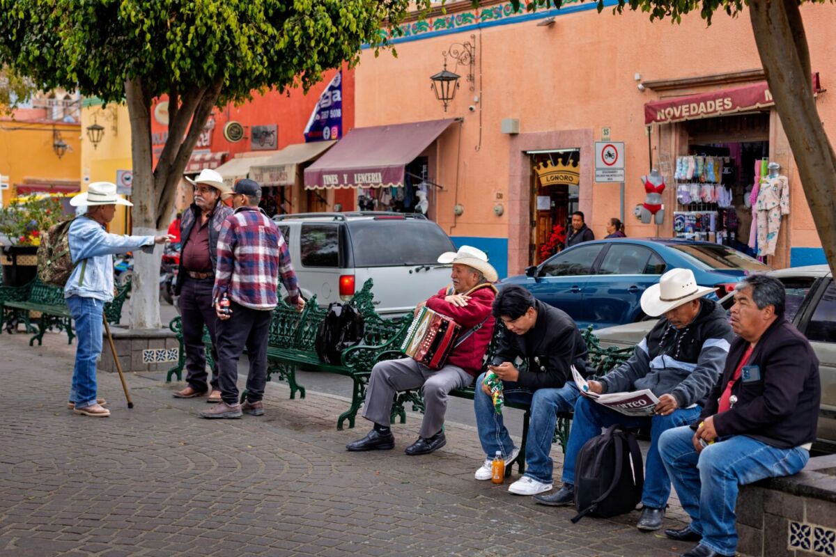 grupo de personas descanso en un jardín público 