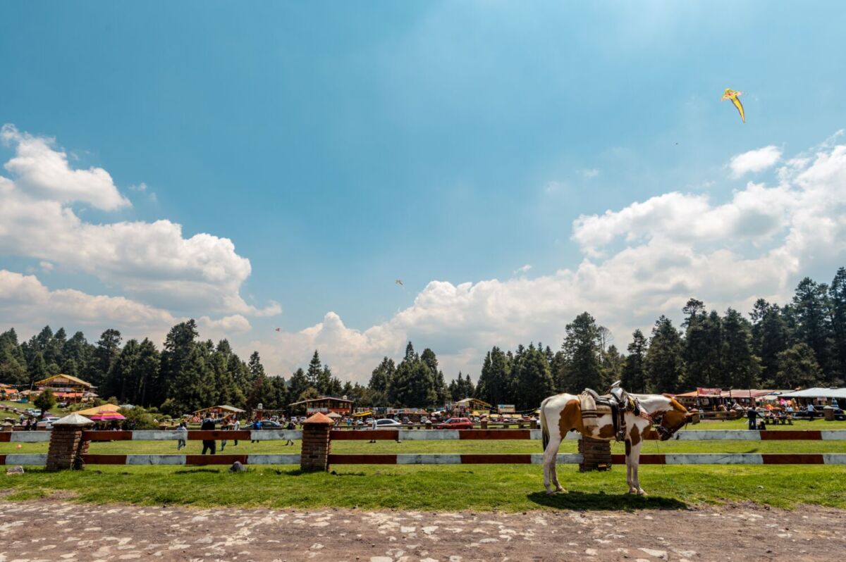 El parque recreativo en medio de la naturaleza está a 2 horas de la CDMX: paseos a caballo, tirolesas y gotcha
