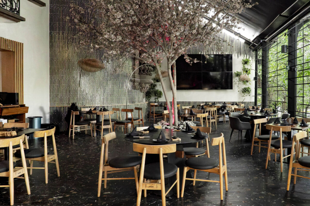 Este restaurante en Polanco acaba de remodelarse y esta es su nueva propuesta