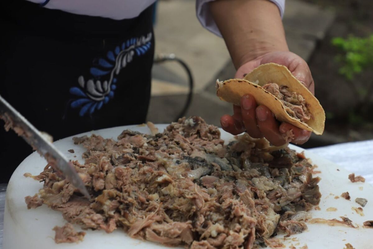 Festival de la Barbacoa de Hoyo y el Pulque en Chignahuapan