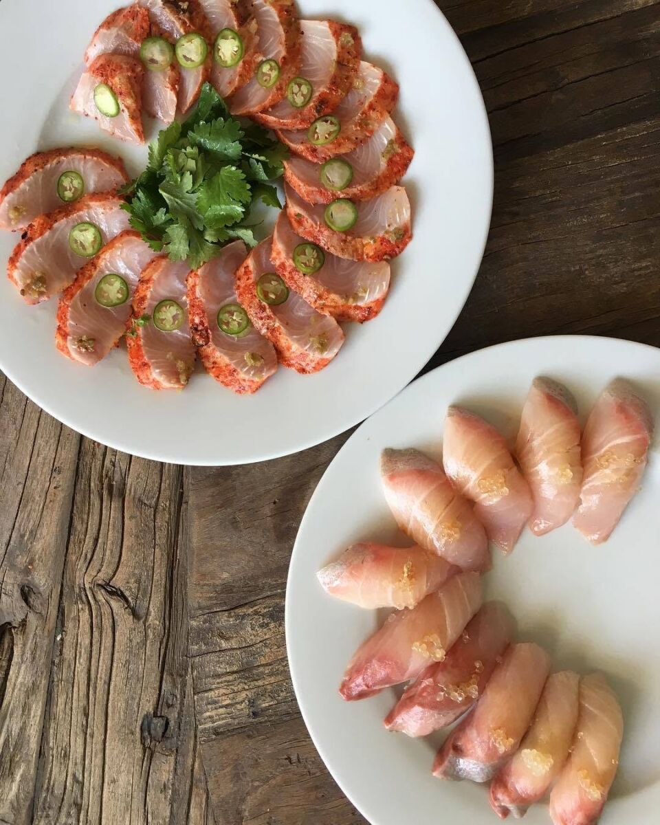 sashimi y nigiris de kampachi