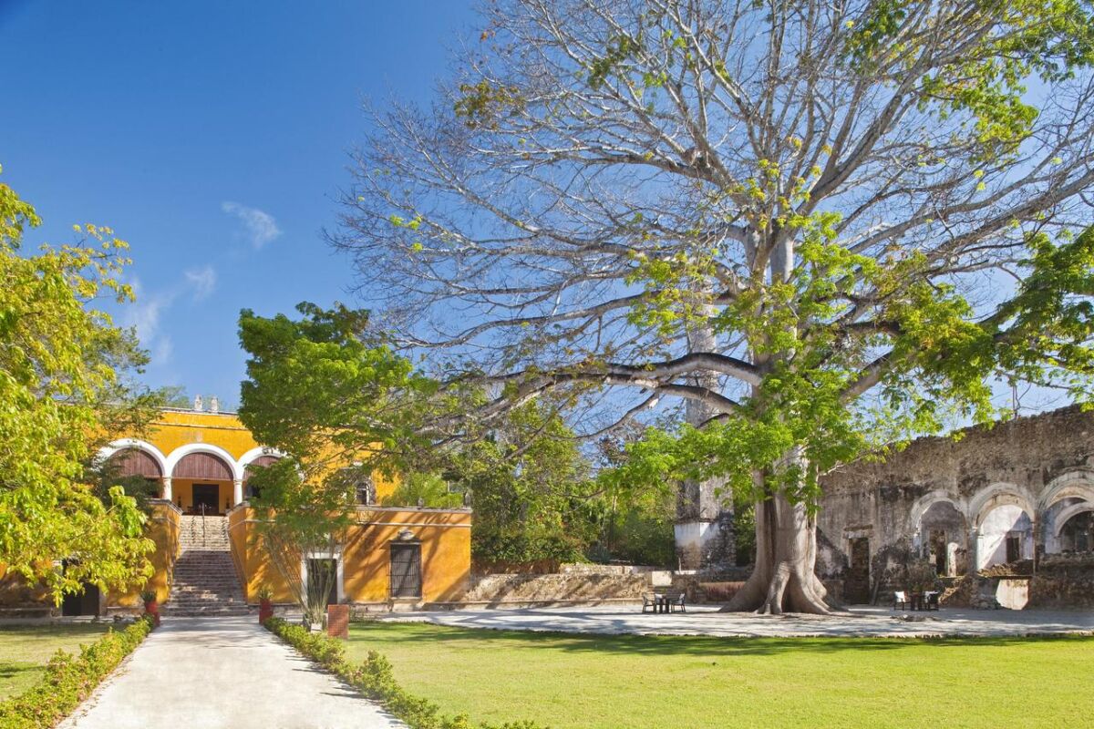 casa principal color amarillo con un arbol en frente 