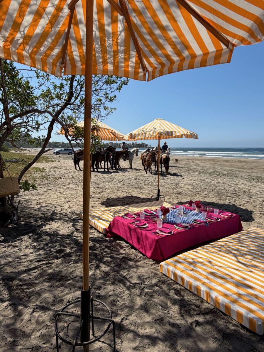 picnic en la playa con caballos al fondo