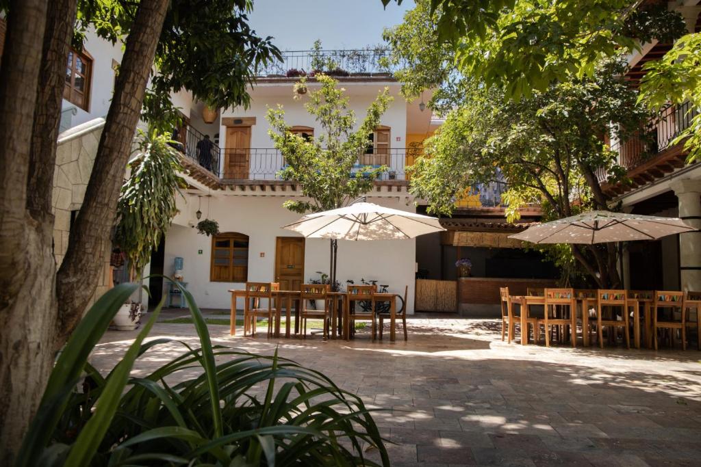 patio central de una casona con árboles en oaxaca
