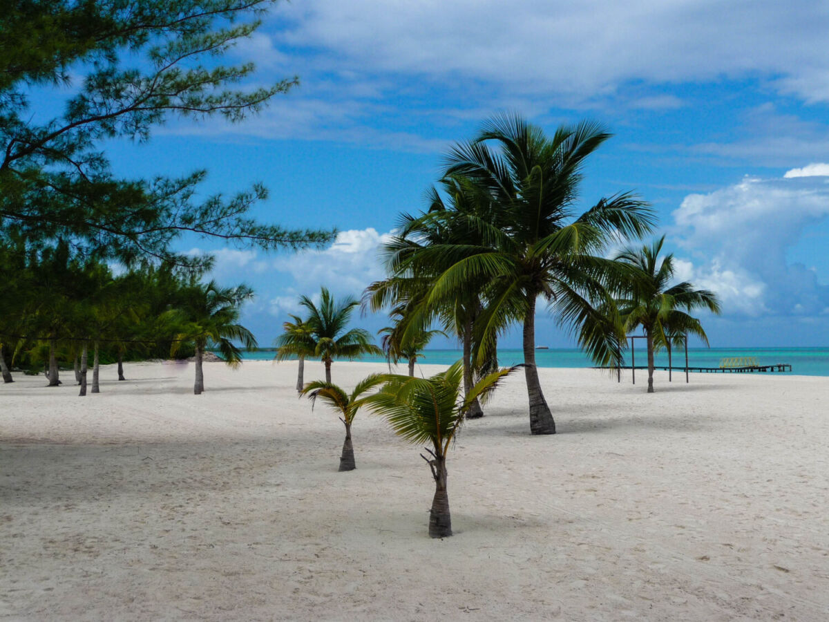 Arena blanca y palmeras en la Isla de la Pasión, Cozumel