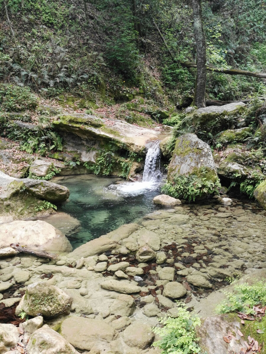 Poza cristalina rodeada de rocas con musgo y una cascada corta en el sendero hacia el jacuzzi natural de La Estanzuela