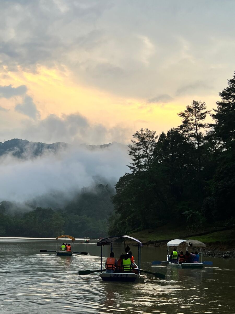 lanchas en presa la soledad entre el bosque y la neblina