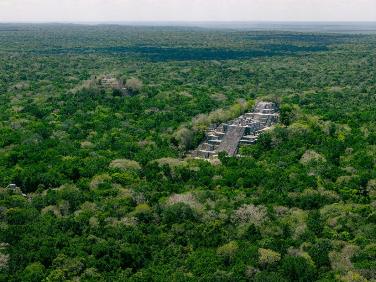 Nadie sabía que existía: la ciudad maya que lleva 1000 años sin ser saqueada 
