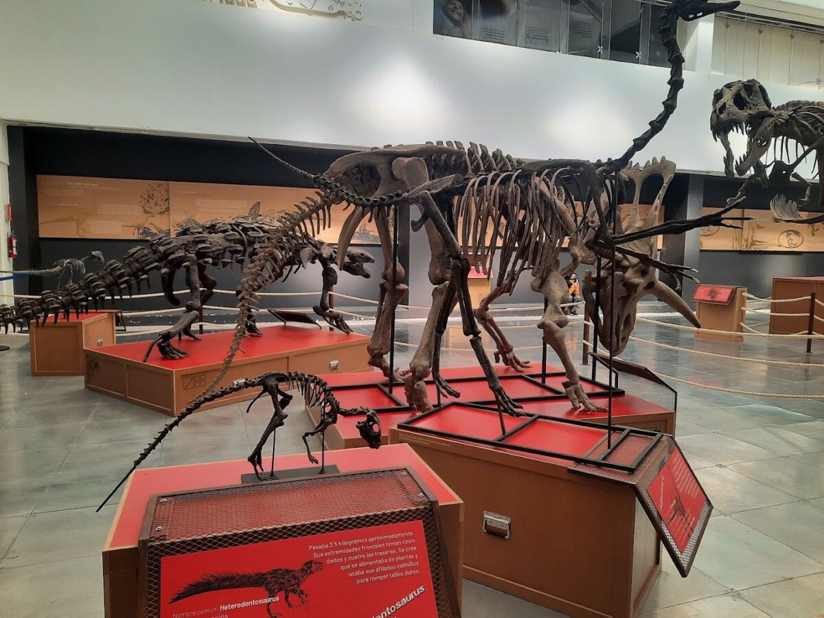 esqueleto de dinosaurio
