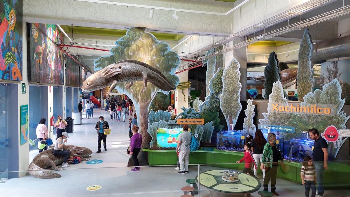 Museos para niños en la CDMX: espacios para aprender, jugar y despertar su curiosidad