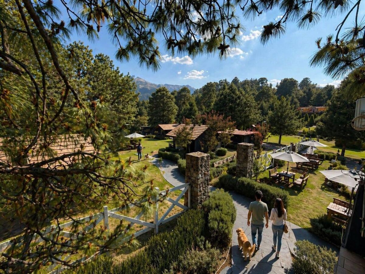terrenos del orgánico hotel boutique en el ajusco