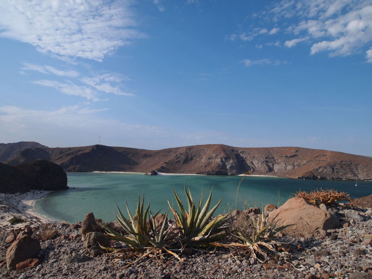 playa el merito baja califronia sur