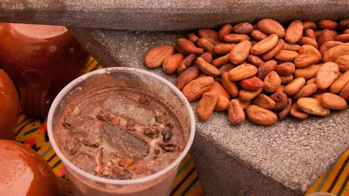 granos de cacao para pozol