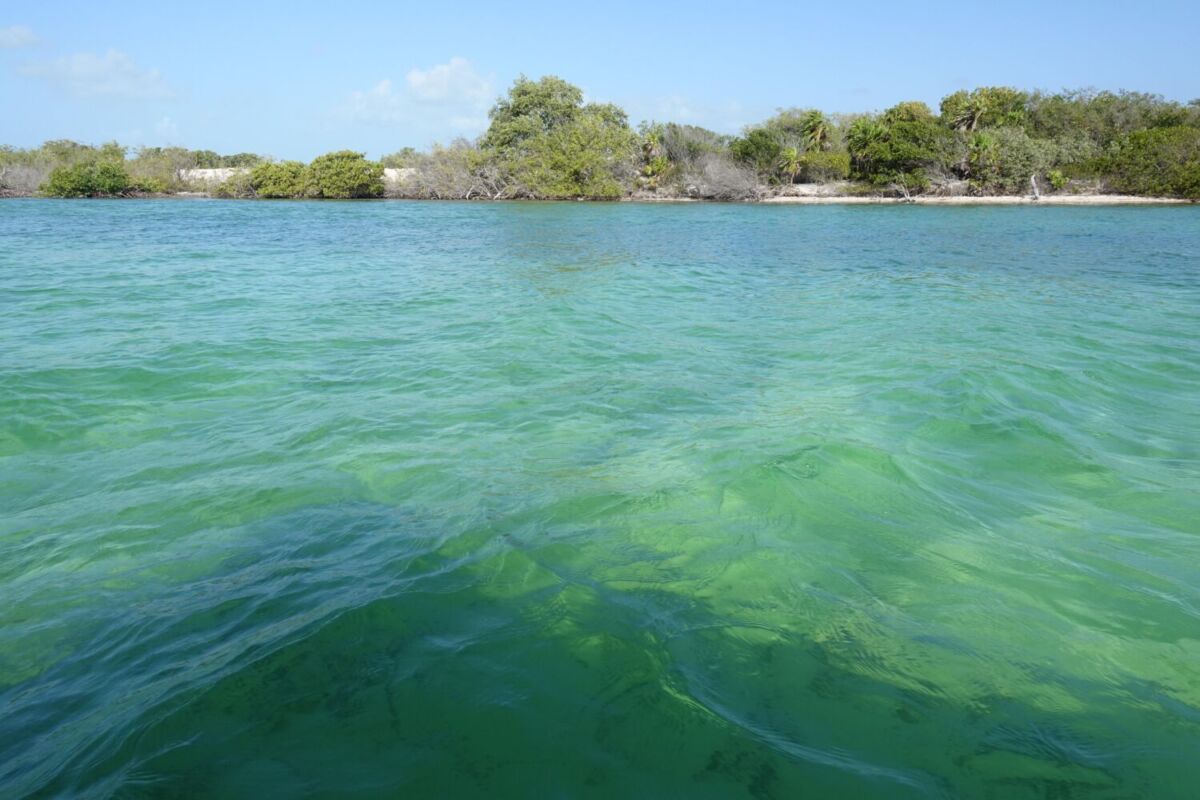 playa de agua turquesa en el Mar Caribe