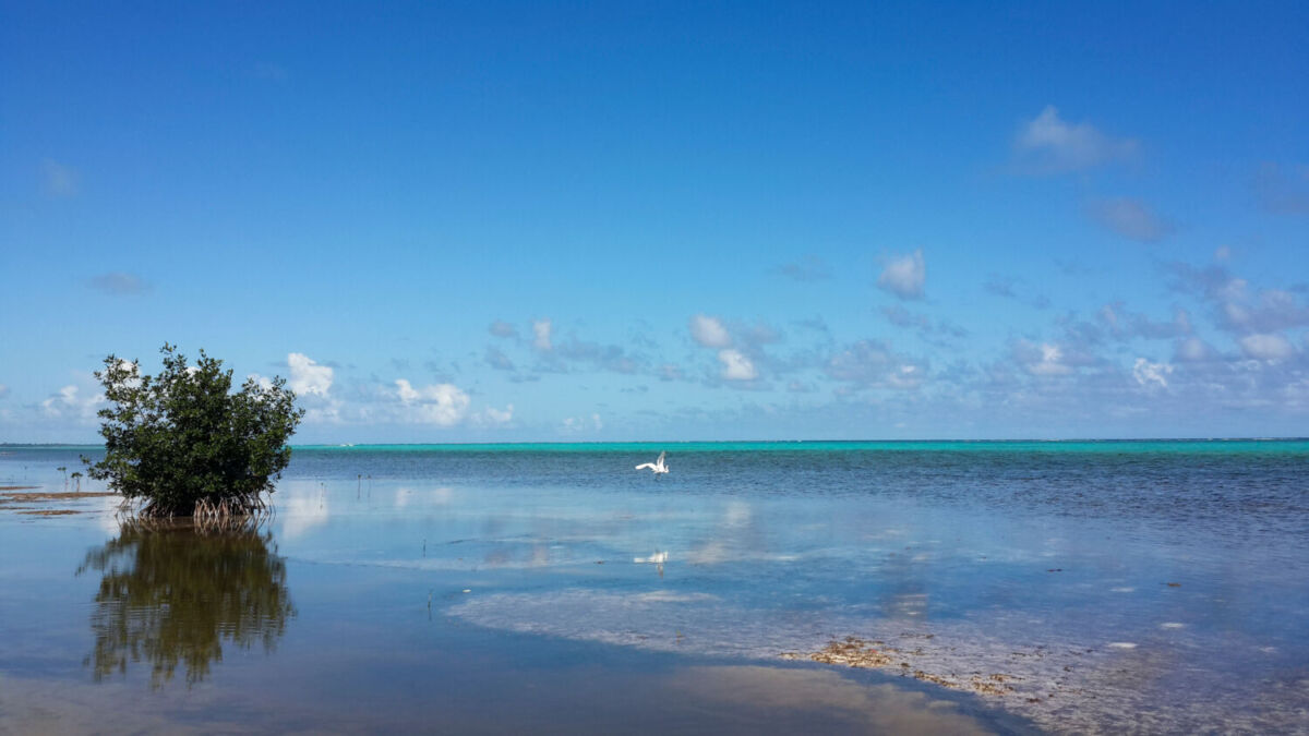playa en Quintana Roo