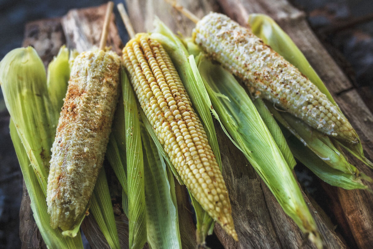 Elotes gigantes preparados en Jala, Nayarit