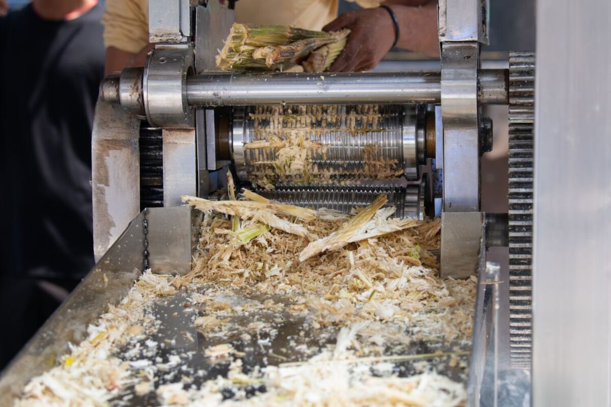 Máquina de jugo de caña de azúcar