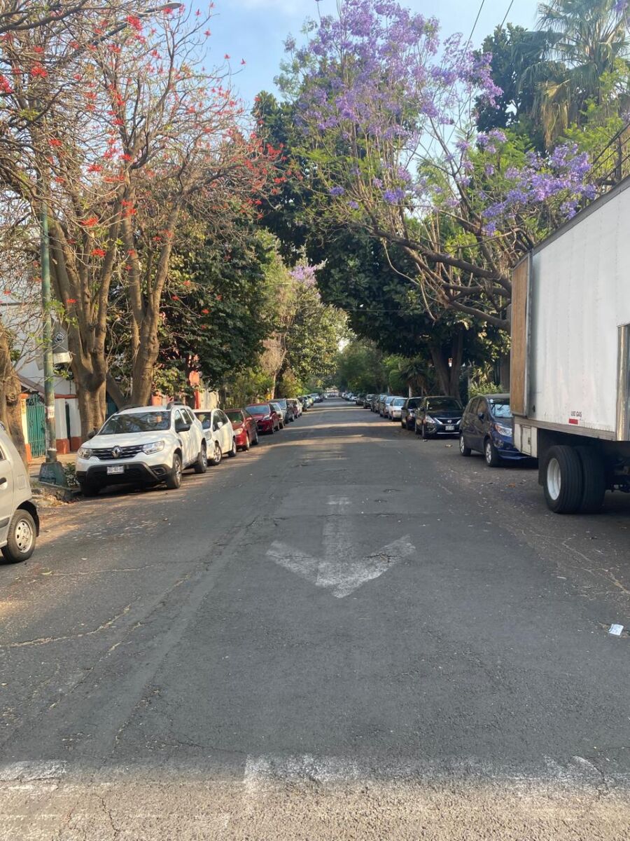 calle de la Roma Sur de día con árboles