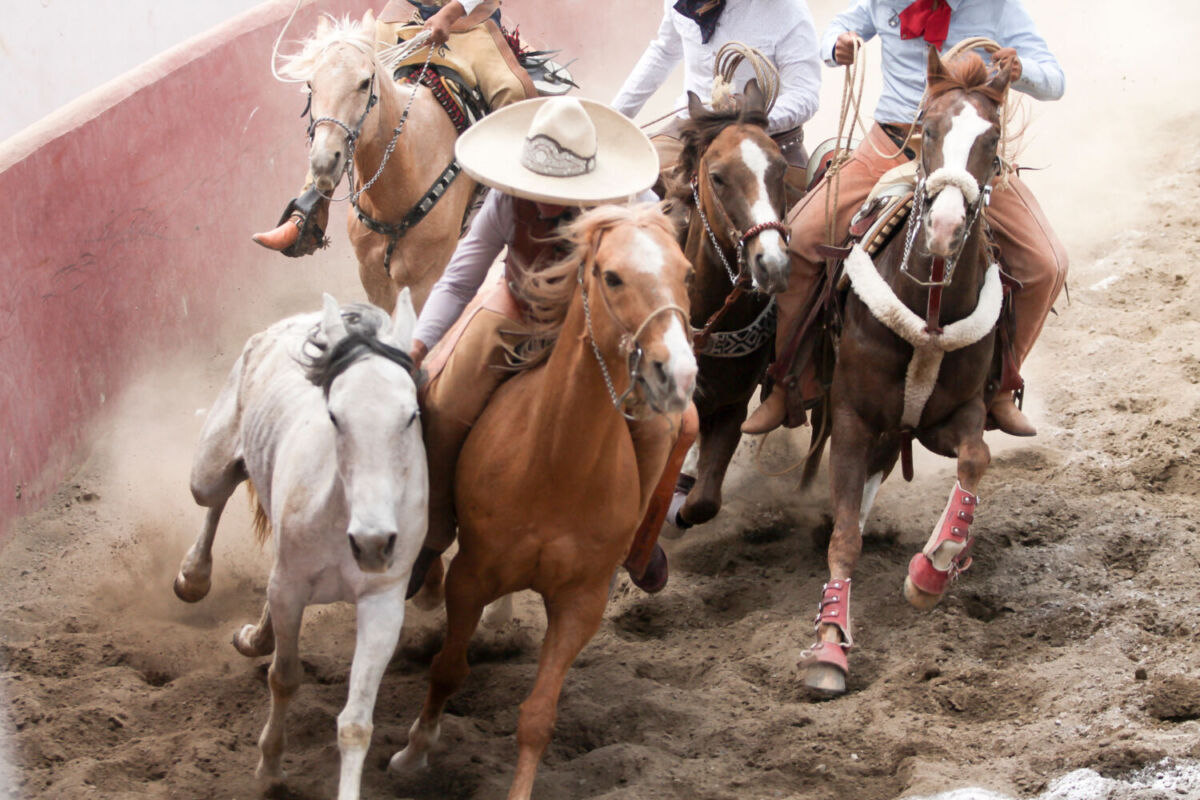 hombres montando a caballo 