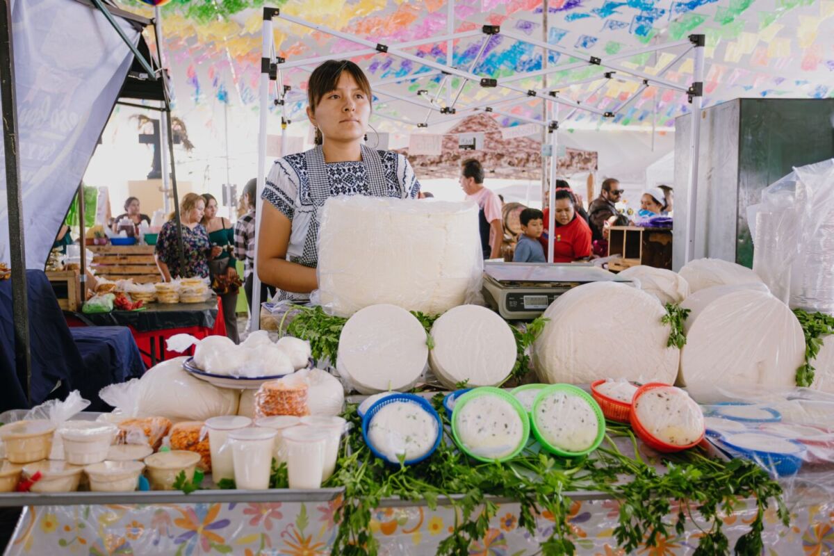 La mejor ciudad de Jalisco para comprar queso adobera, panela y requesón: tiene un centro con casas antiguas y templos coloniales La mejor ciudad de Jalisco para comprar queso adobera, panela y requesón: tiene un centro con casas antiguas y templos coloniales