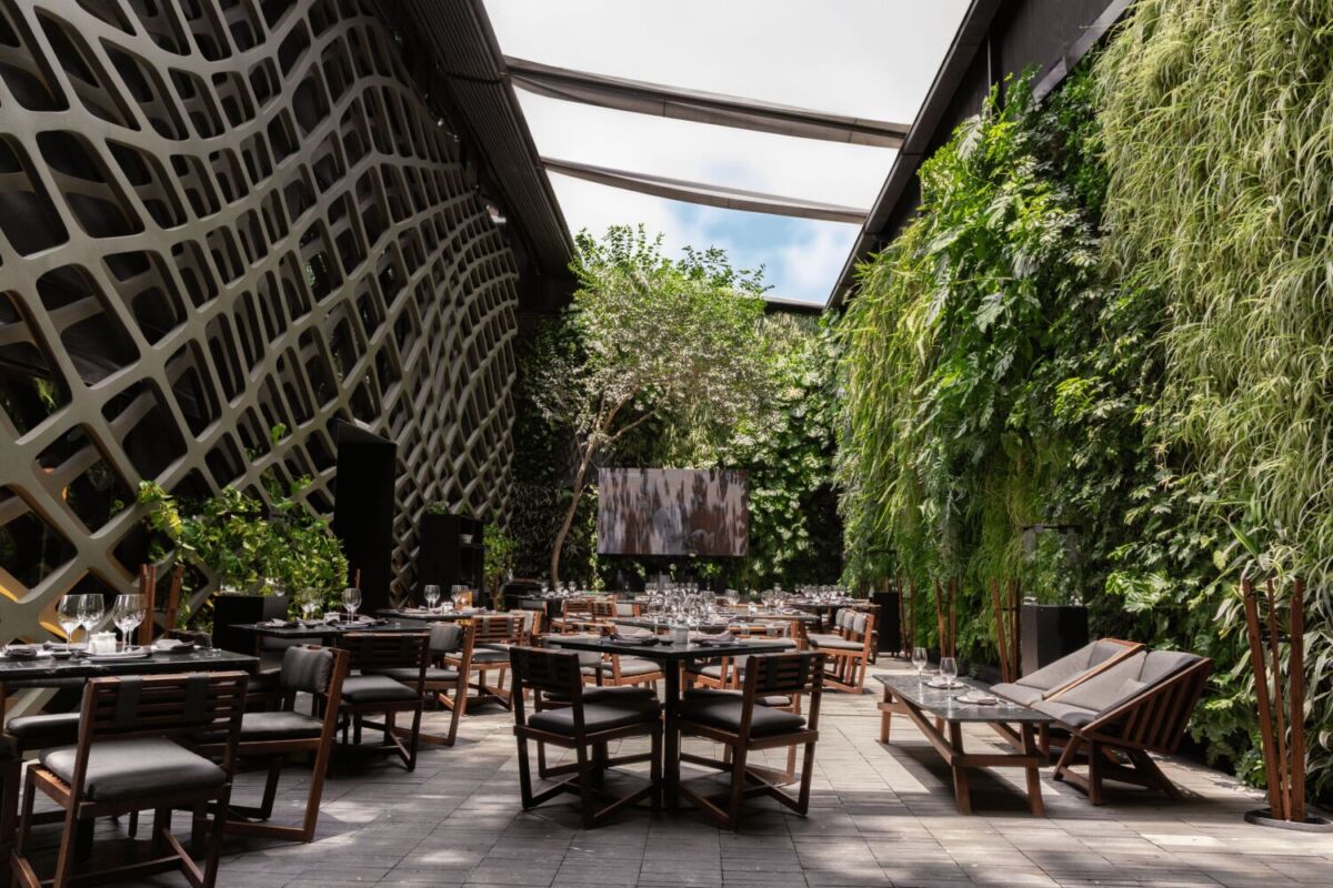 Renovaron el restaurante japonés más famoso de Polanco: TORI es la evolución del Tori Tori de toda la vida