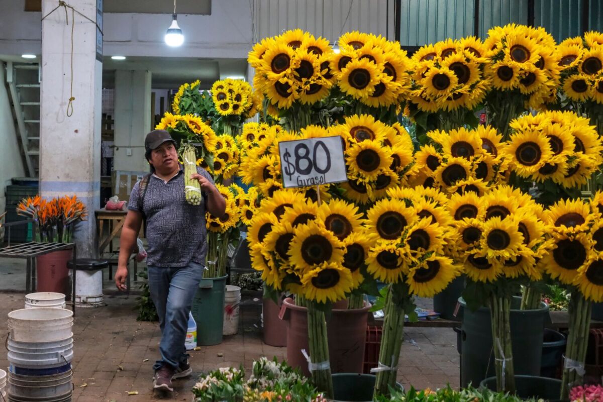 persona vendiendo girasoles en el Mercado de Jamaica, en CDMX 