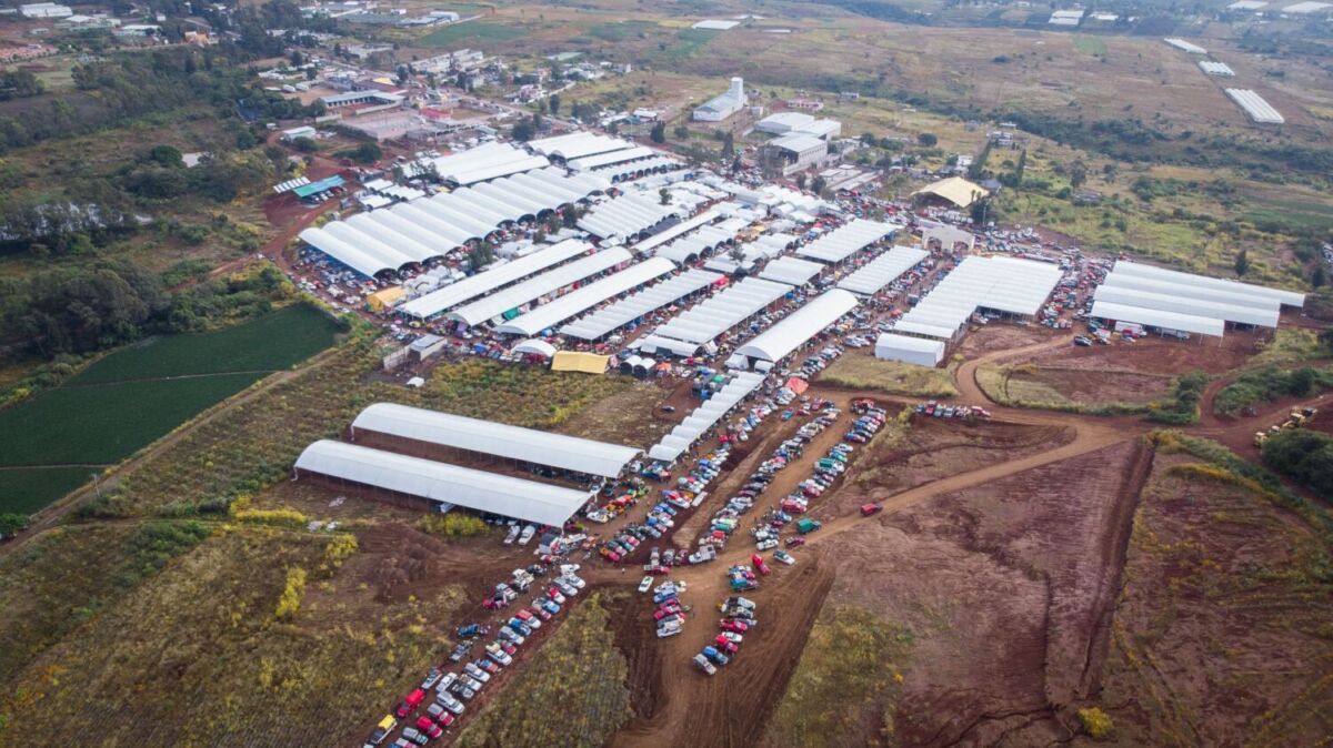 vista aérea de la Central de Abastos de Flores en Villa Guerrero, Estado de México 
