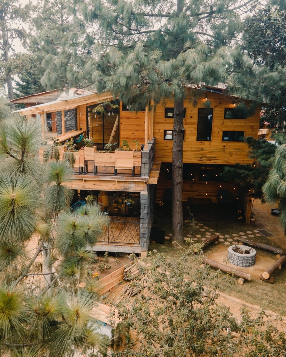 cabaña de madera en medio del bosque