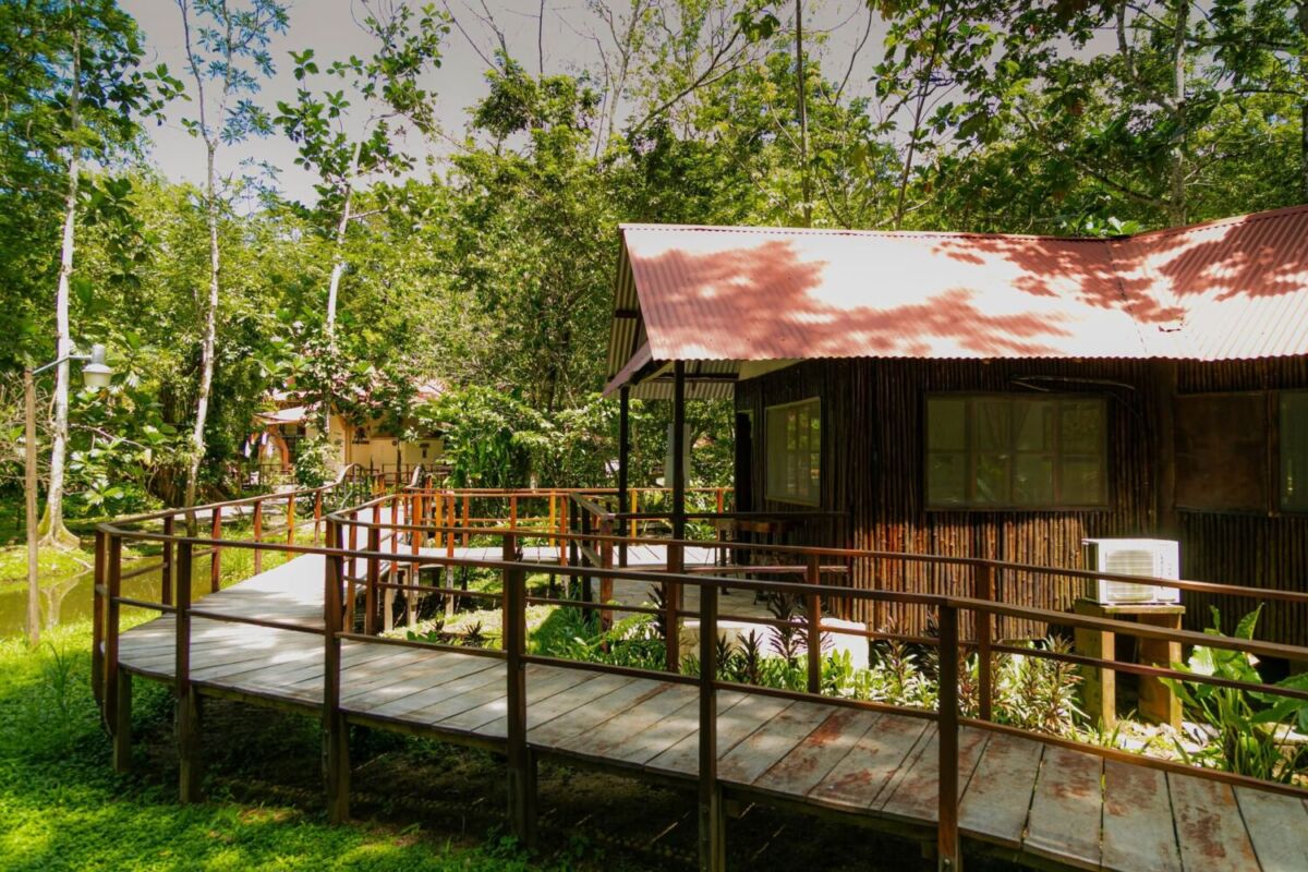 cabaña rústica en medio de la selva 