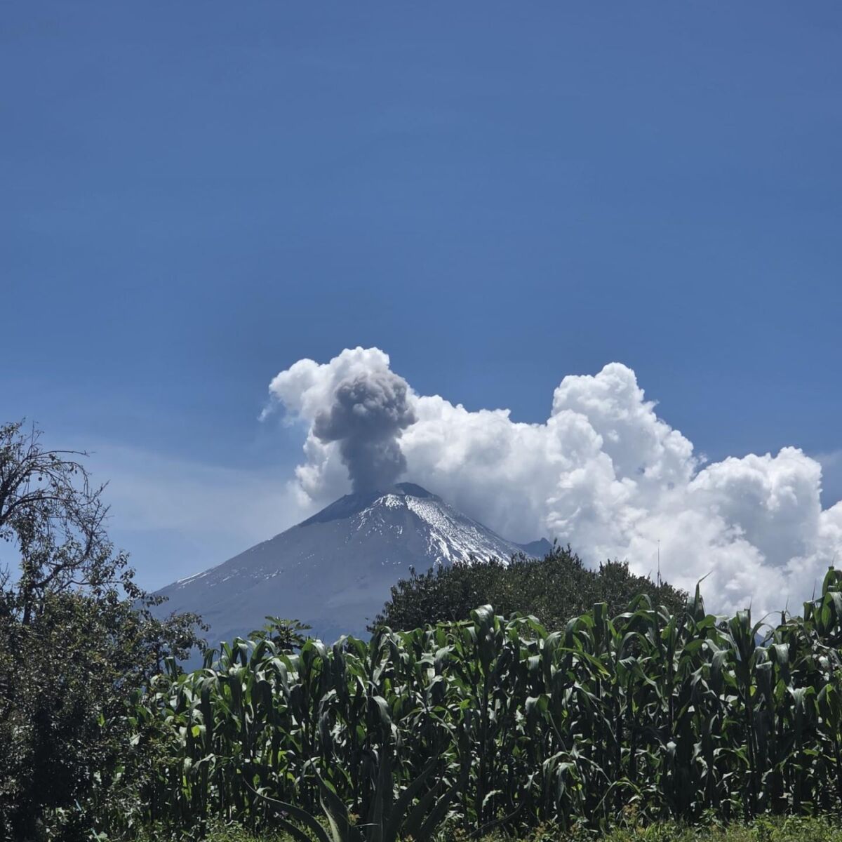 vista del volcán Popocatépetl 