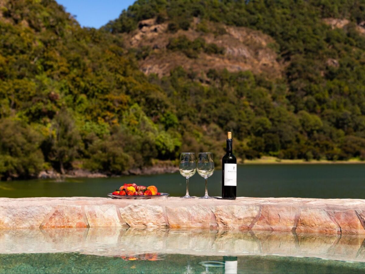 vino y fruta frente a un lago