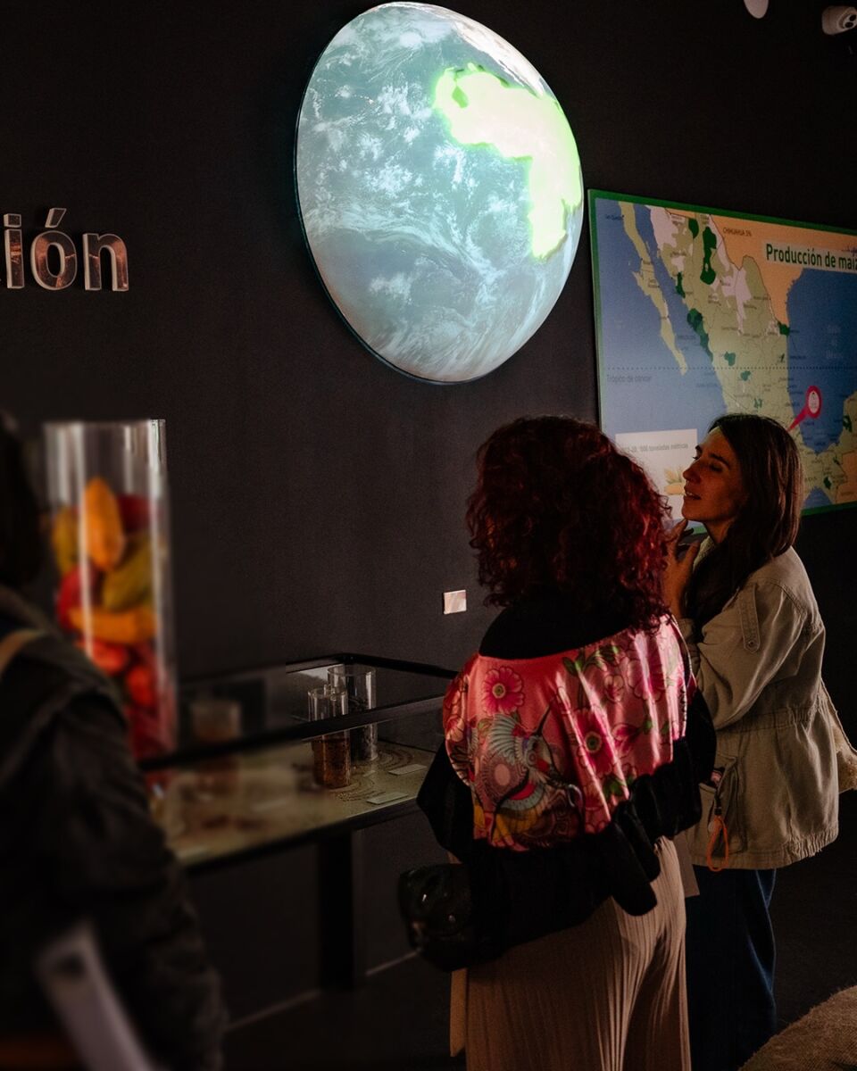 personas caminando por un museo interactivo