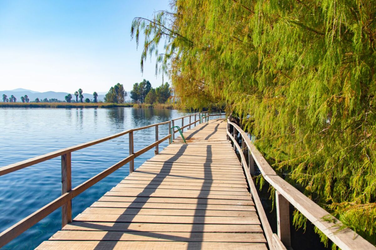 laguna cerca de Ciudad Valles en San Luis Potosí