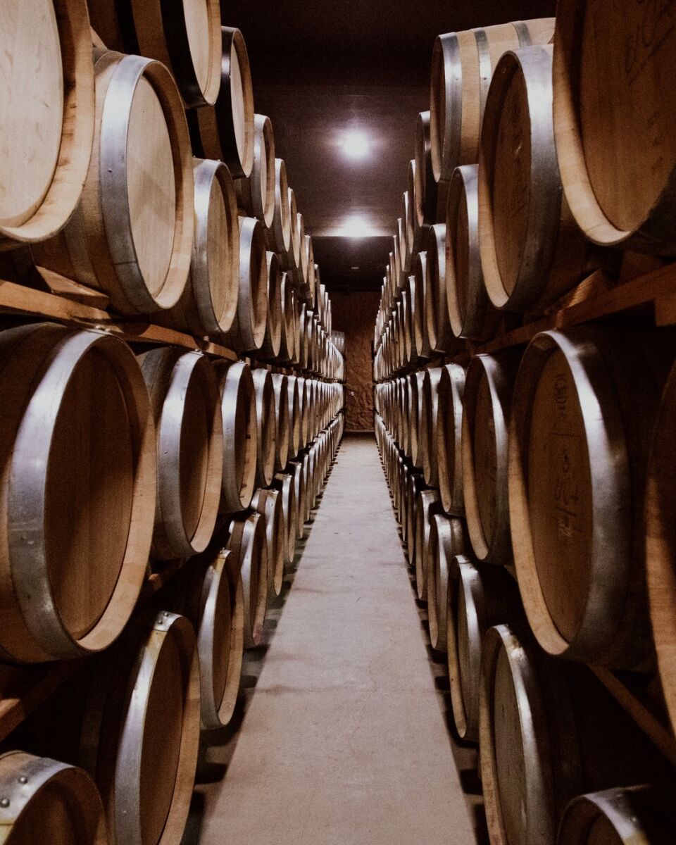 cava de vino 